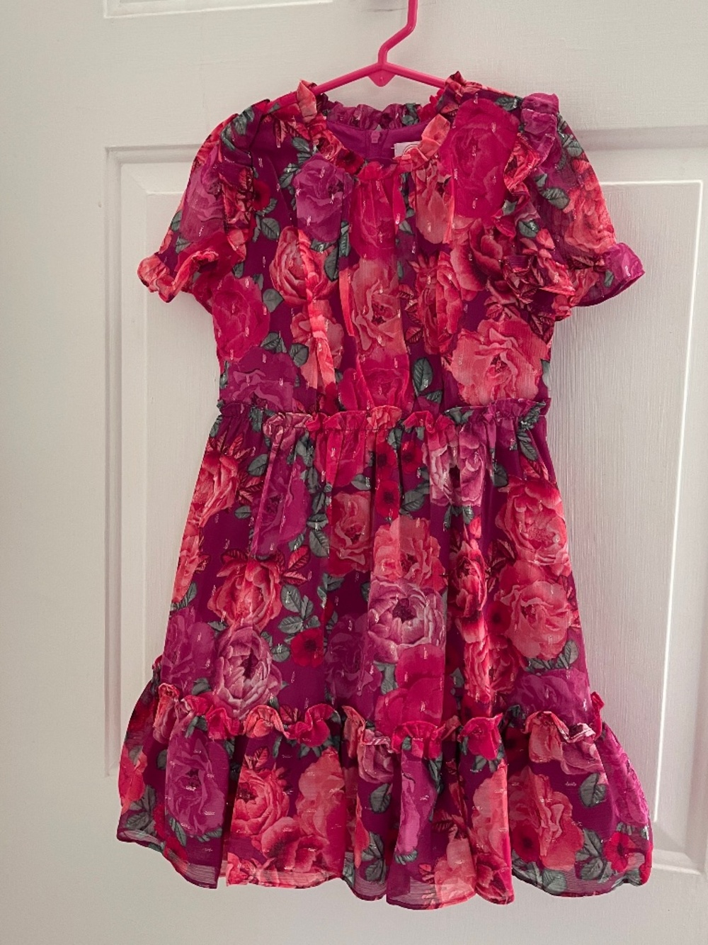 Girls Floral Lined Dressy Dress by Wonder Nation